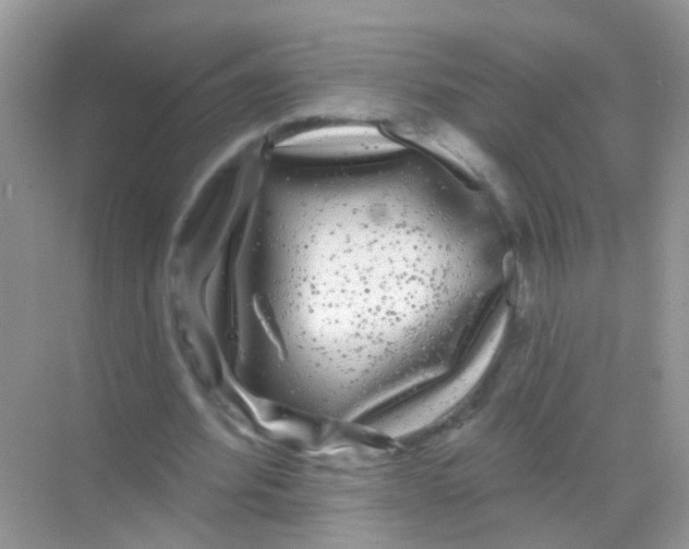 X0000068290580200605121940
