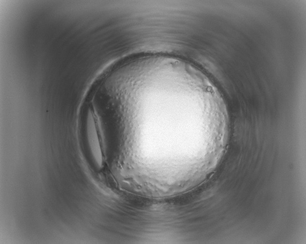 X0000068290584200605121940