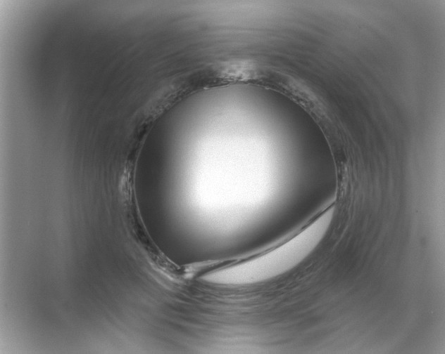X0000068290601200605121940