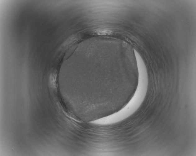 X0000068290604200605121940