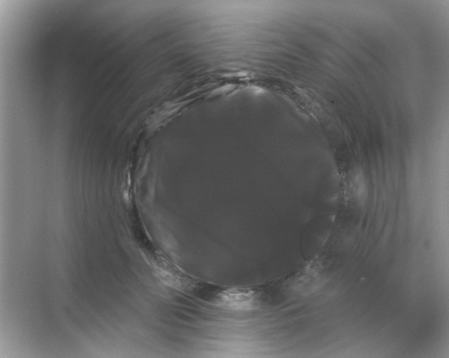 X0000068290606200605121940