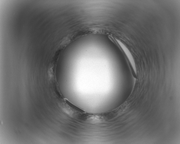 X0000068290611200605121940