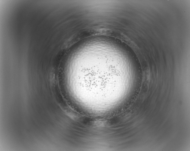 X0000068290615200605121940