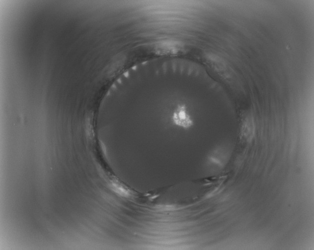 X0000068290616200605121940