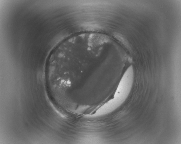 X0000068290630200605121939