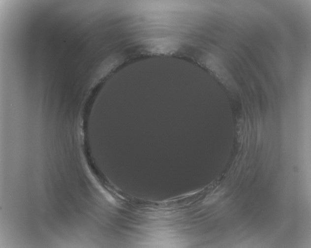 X0000068290634200605121939