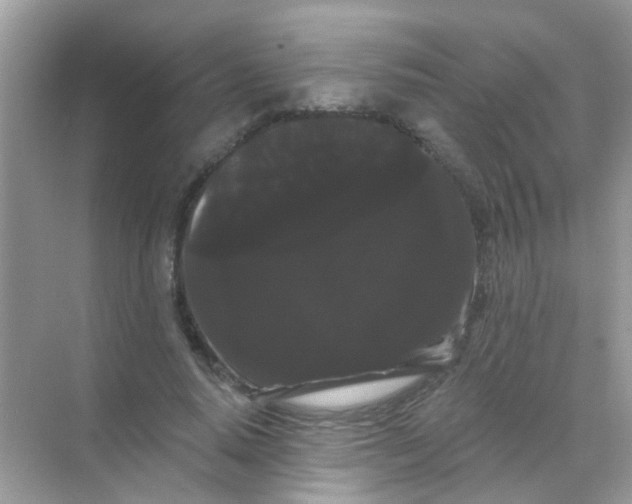 X0000068290640200605121939