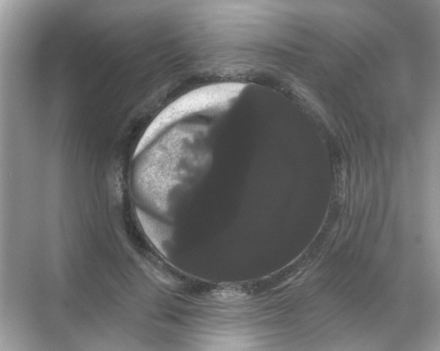 X0000068290644200605121939