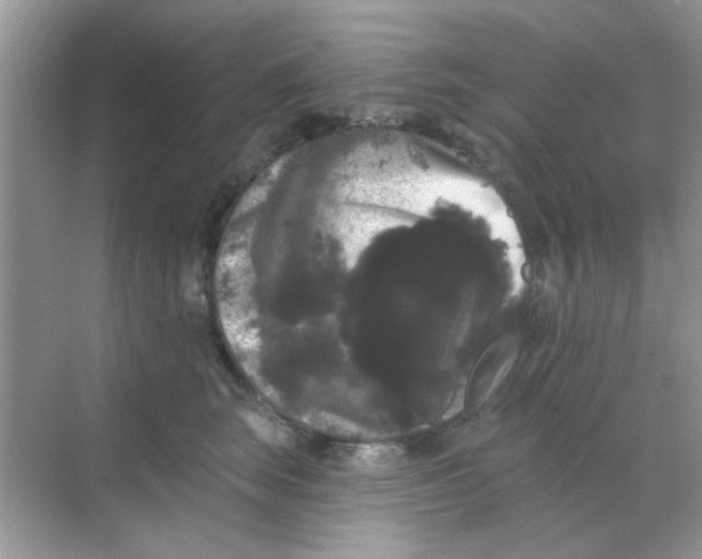 X0000068290663200605121939