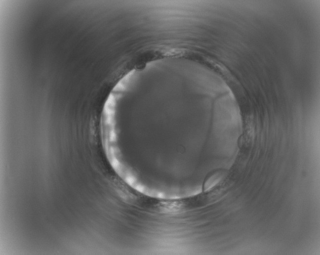 X0000068290667200605121939