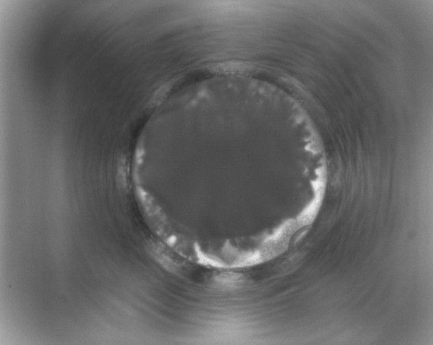 X0000068290669200605121939