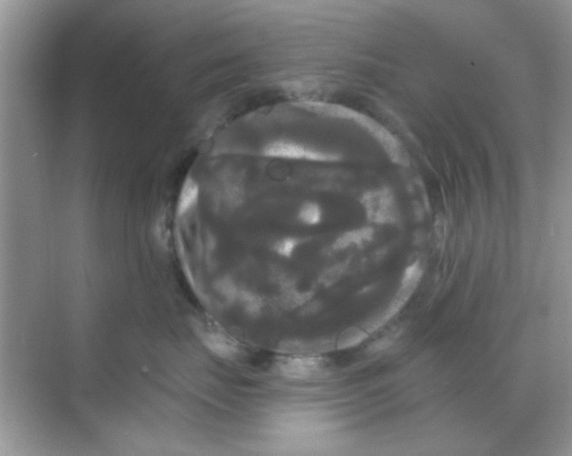 X0000068290671200605121939