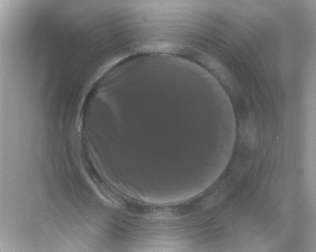 X0000068290674200605121939
