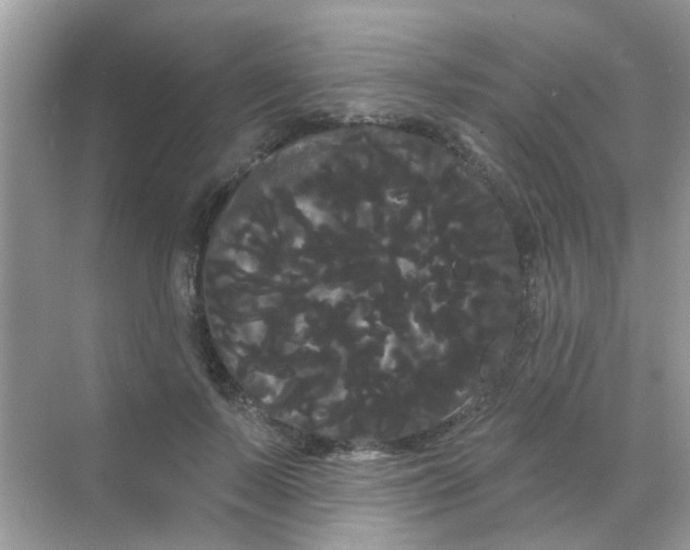 X0000068290695200605121938
