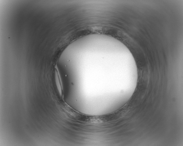 X0000068290702200605121938