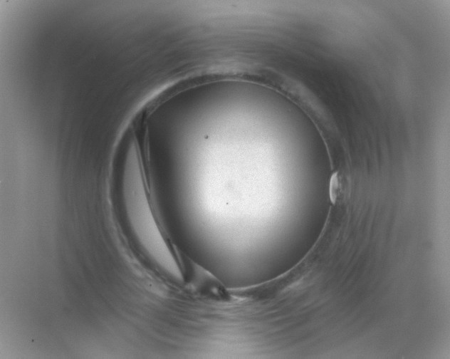 X0000068290724200605121937