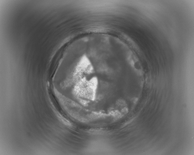 X0000068290725200605121937