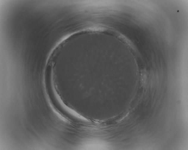 X0000068290726200605121937