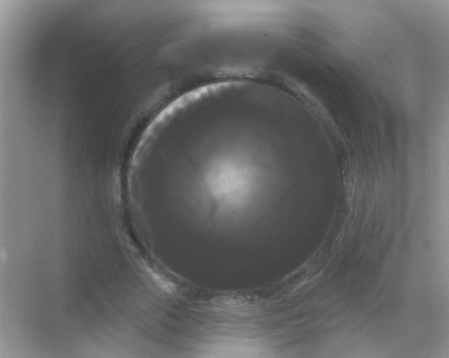 X0000068290729200605121937