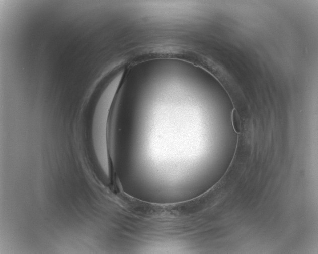 X0000068290731200605121937