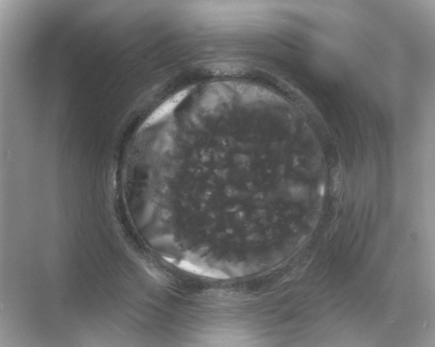 X0000068290733200605121937