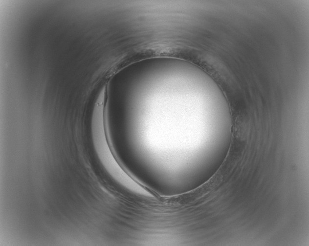 X0000068290740200605121937