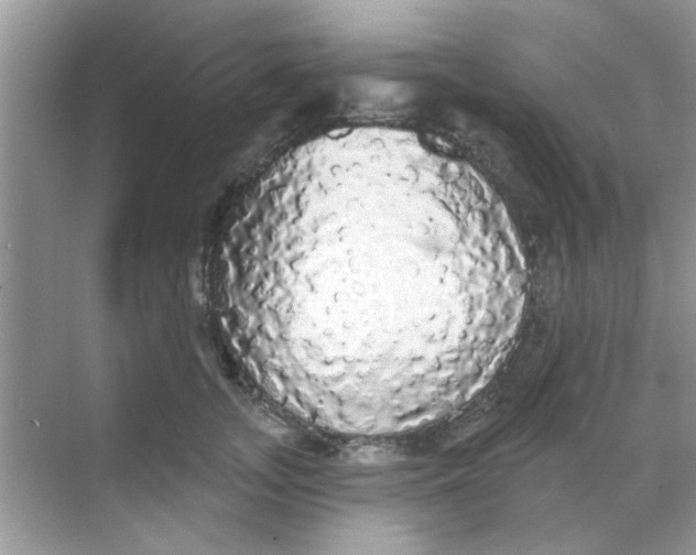 X0000068290755200605121938
