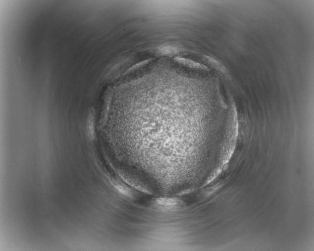 X0000068290762200605121938