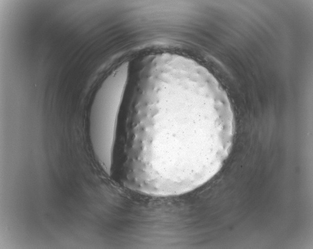 X0000068290776200605121937