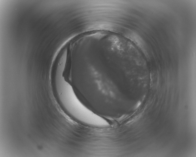 X0000068290780200605121937