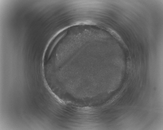 X0000068290784200605121937