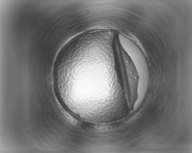 X0000068290795200605121937