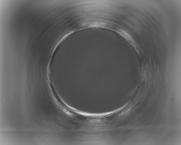 X0000068290798200605121936