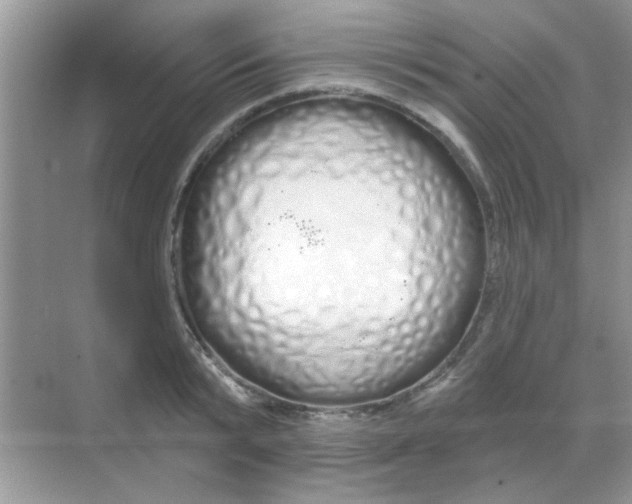 X0000068290799200605121936