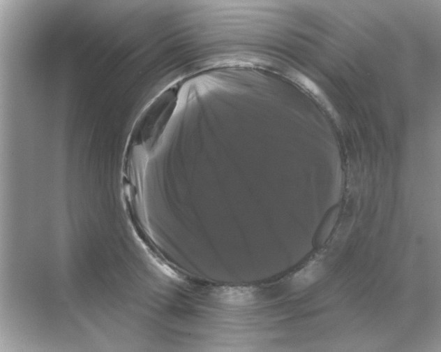 X0000068290802200605121936