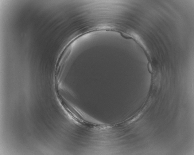 X0000068290810200605121936