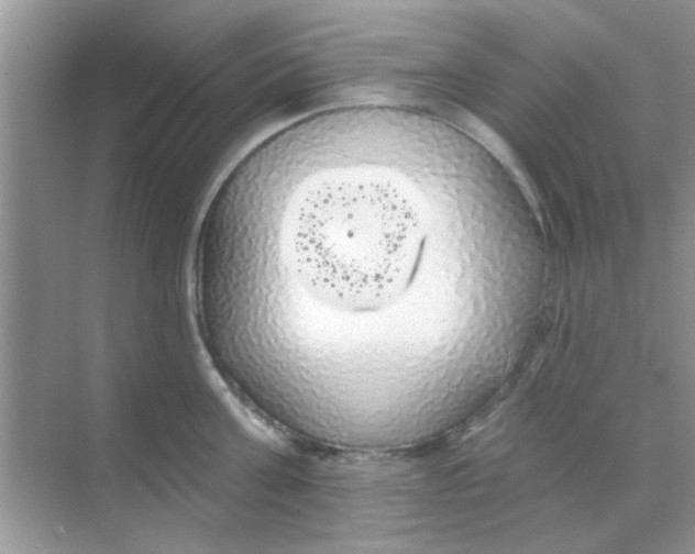 X0000068290811200605121936