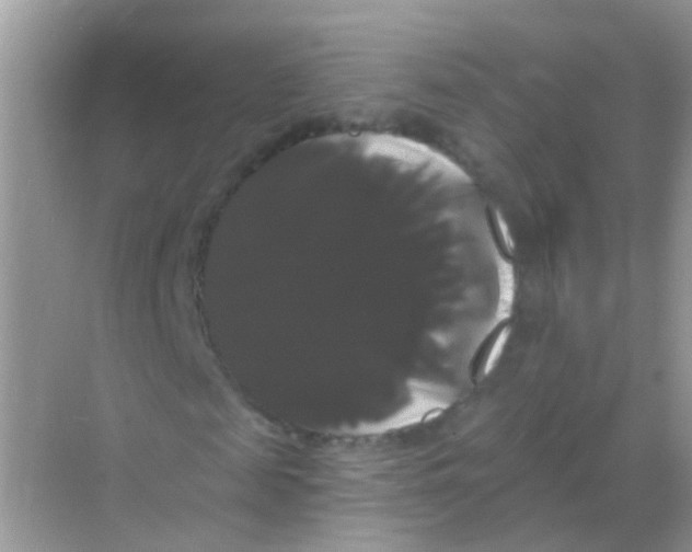 X0000068290817200605121935