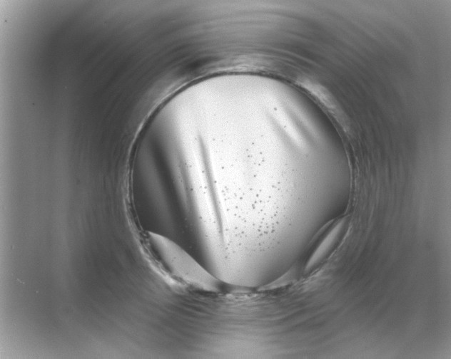 X0000068290850200605121936
