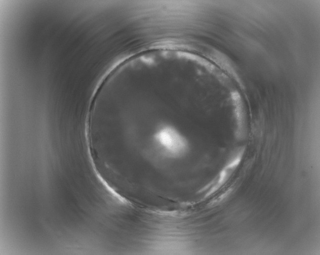X0000068290855200605121936