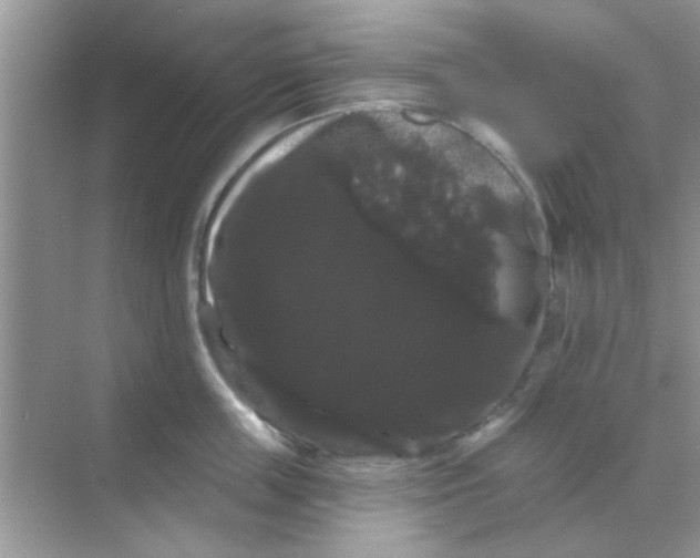 X0000068290859200605121936