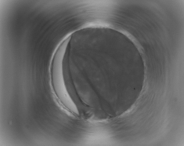 X0000068290864200605121936