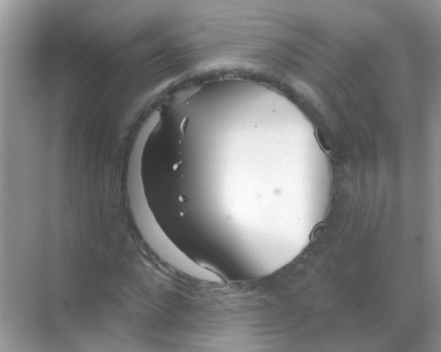 X0000068290872200605121935
