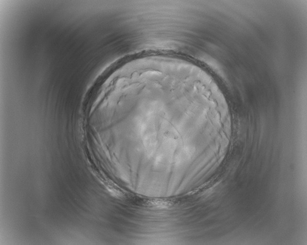 X0000068290878200605121935