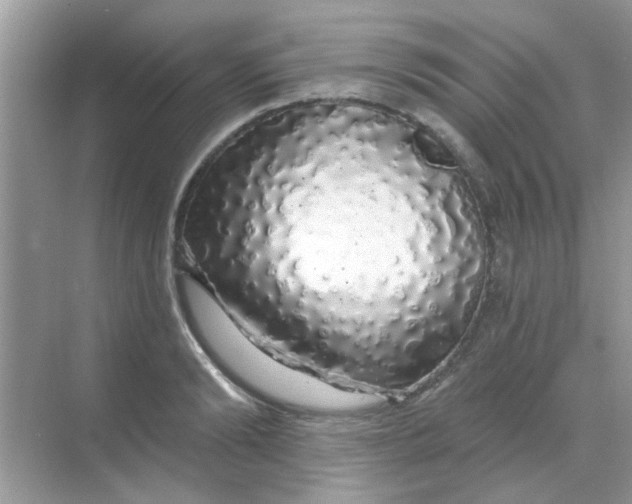 X0000068290894200605121935