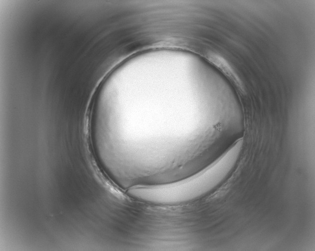 X0000068290900200605121935