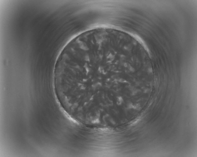 X0000068290903200605121935