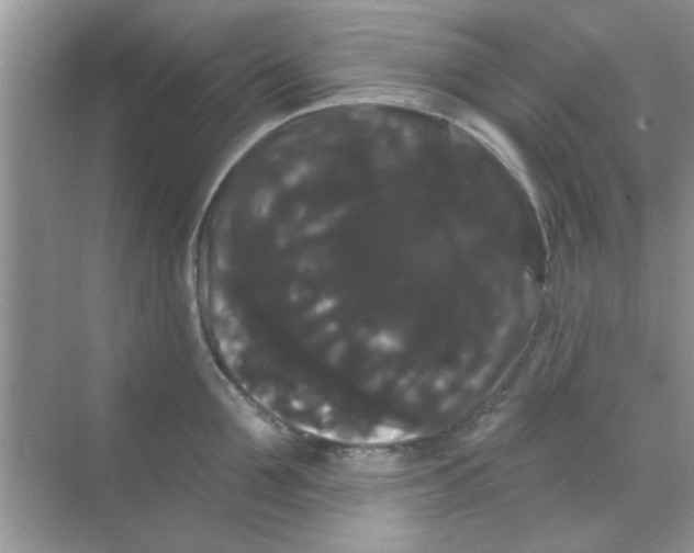 X0000068290907200605121935