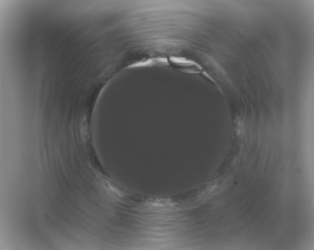 X0000068290915200605121934