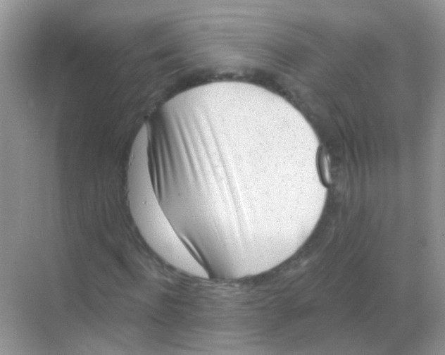 X0000068290916200605121934